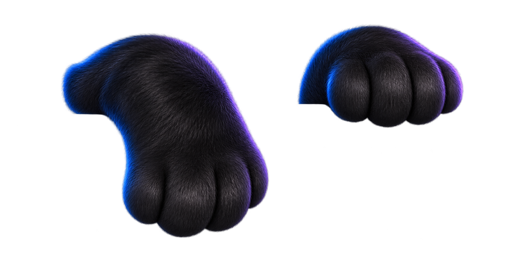 Black space-cat paws holding the pricing card